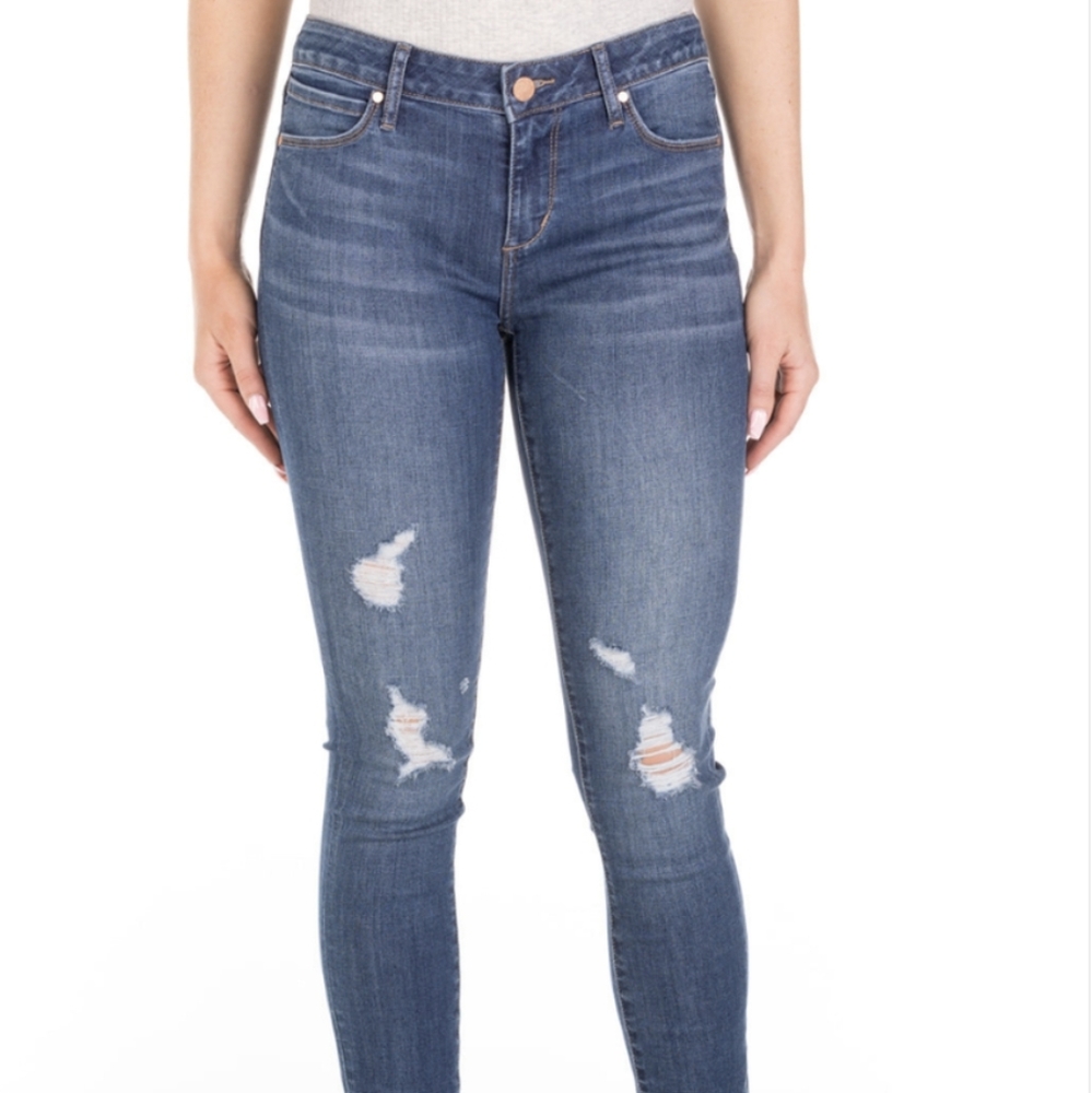 Articles of Society Sarah Decon Skinny Jeans